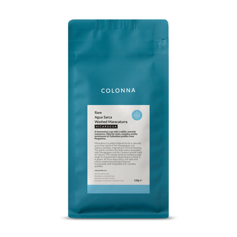 Agua Sarca Washed Maracaturra