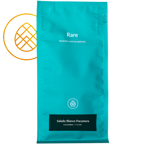 Salado Blanco Pacamara